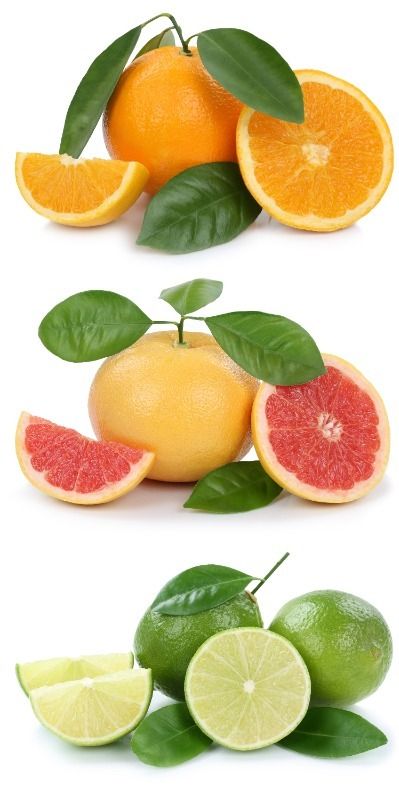 colección citricos 2
