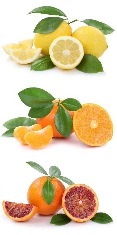 colección citricos 1